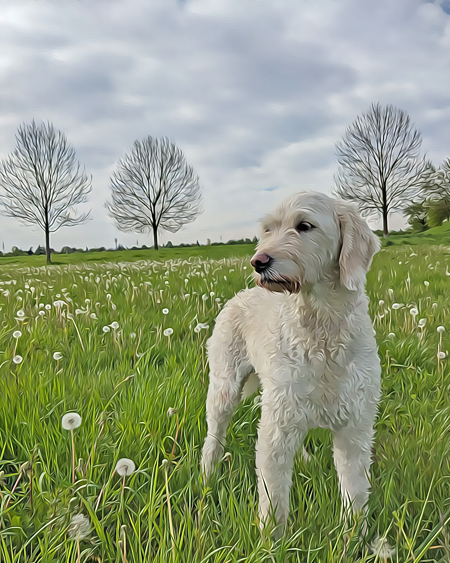 personalisiertes Hundefoto im Öl Stil; gedruckt auf Poster oder Leinwand