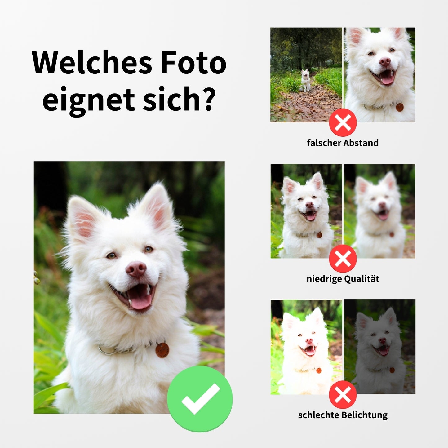 So nimmst du das perfekte Foto auf